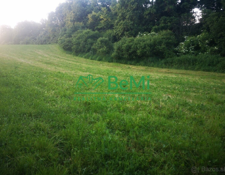 Znížená cena - Rekreačný pozemok Nemšová 005-14-MIKUa