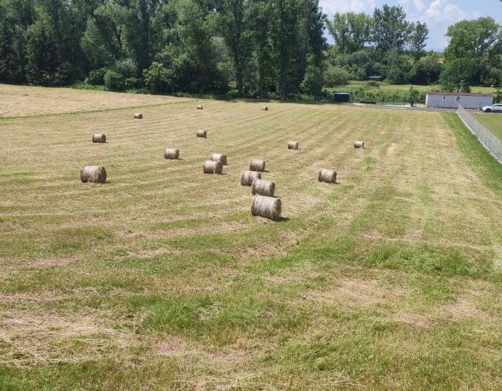 Pozemok na výstavbu domu pri Liptovskej Mare ID: 062-14-STK