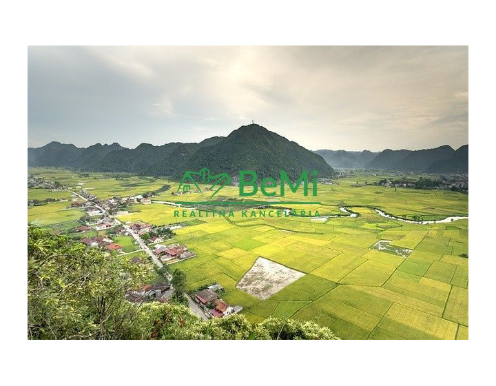 Kúpa pozemkov Kolárovice, okres Bytča  138-PEMO