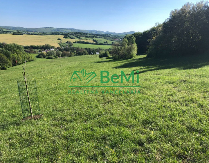 Predaj orná pôda nad obcou Bzince pod Javorinou