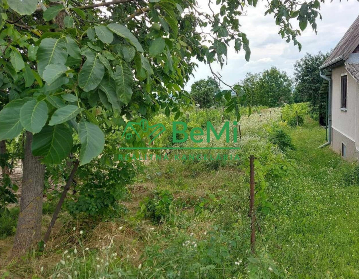 Predaj vinica podiel 1/4 Čechynce pri Nitre, (180-13-ERF)