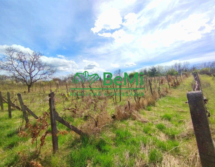 Vinica-Slovenské Kľačany-predaj