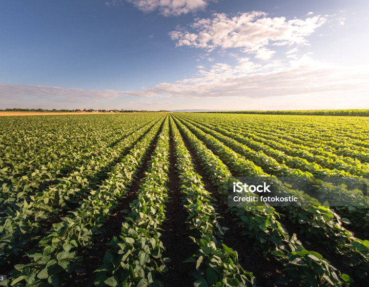 Pozemok Veľké Leváre