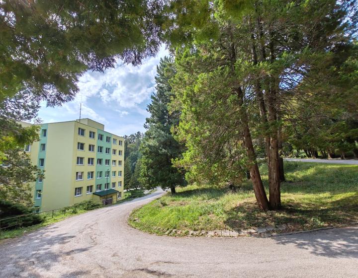 Apartmán s liečivou klímou
