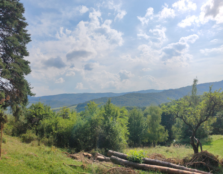 Apartmán s liečivou klímou