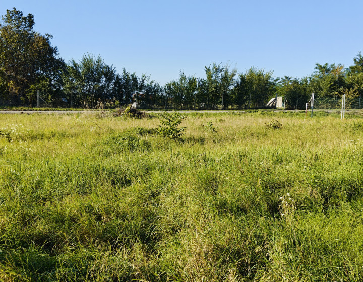 Predaj rekreačný pozemok -  Čechynce (004-14-JANS)
