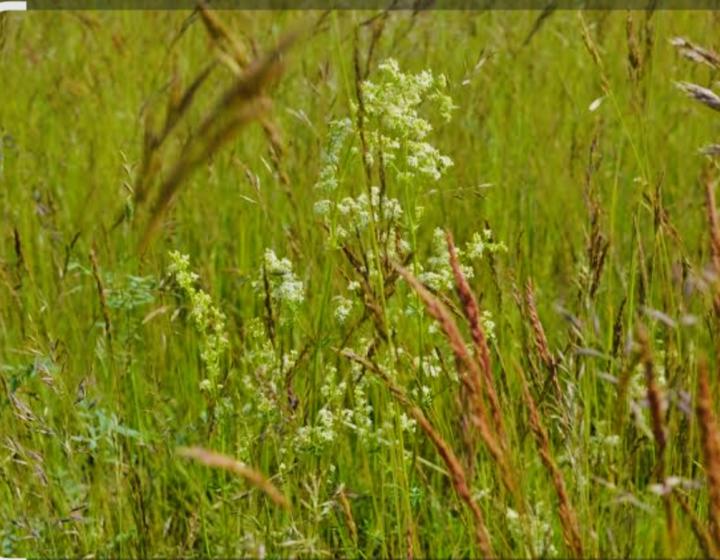 Predaj, stavebný pozemok - Jatov (020-14-JANS)