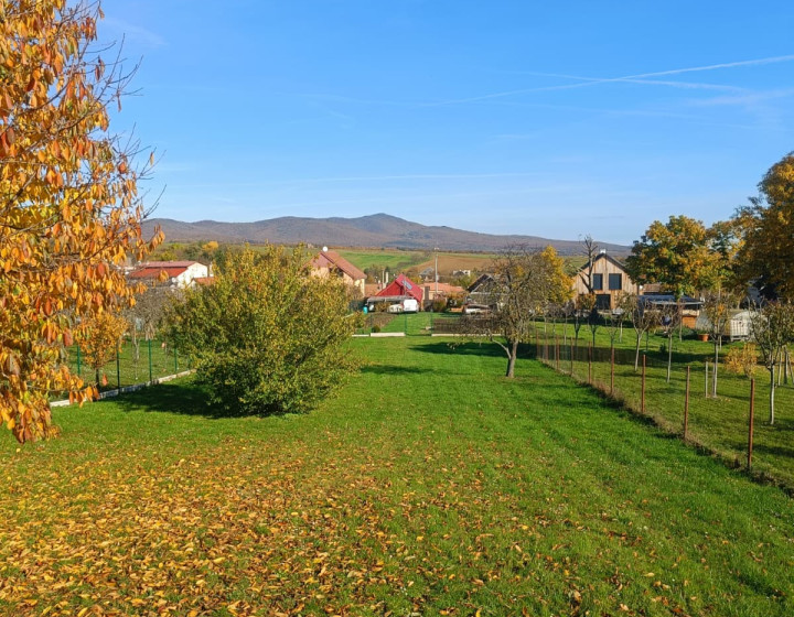 Pozemok - Ardanovce, všetky siete na pozemku. Piešťany -13km