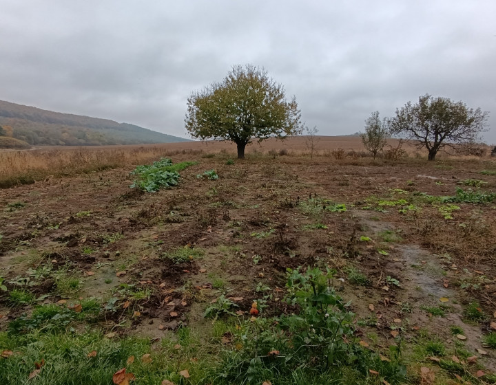 Pozemok 3500 m2 s domom v obci Hernádvecse-39900,-Eur