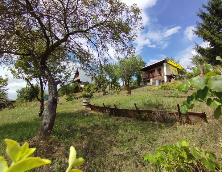 Útulná záhradná chata na predaj-Lučenec