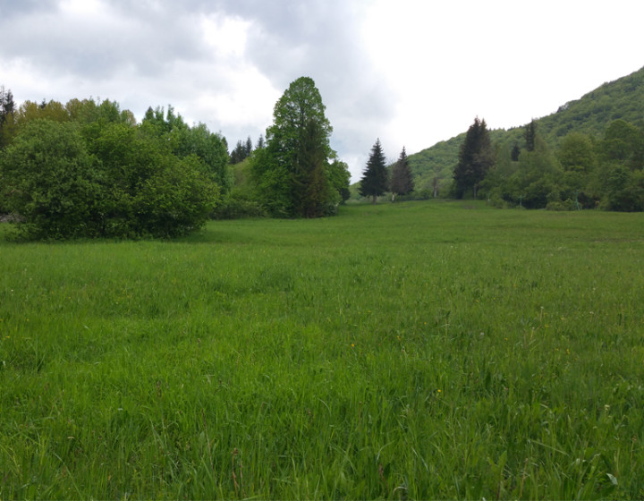 Pozemok na rekreačný objekt v obci Belá, okr. Žilina, 450m2