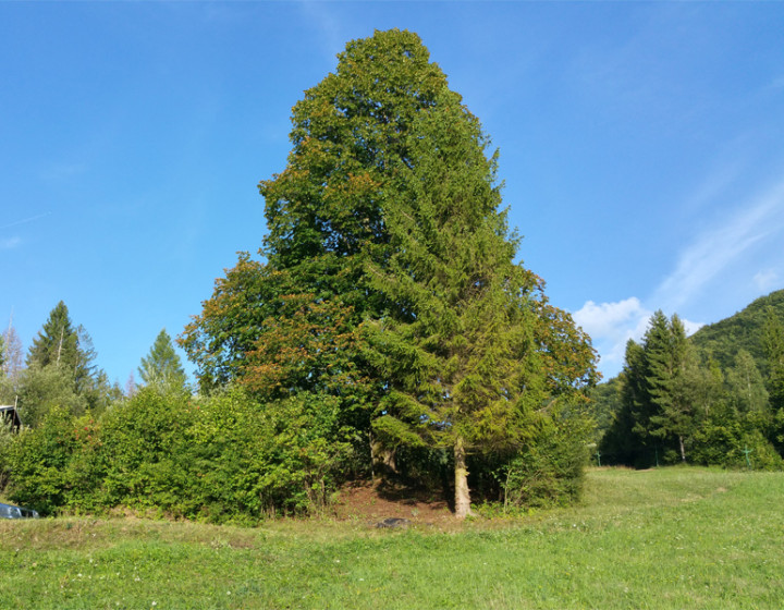 Pozemok na rekreačný objekt v obci Belá, okr. Žilina, 500m2