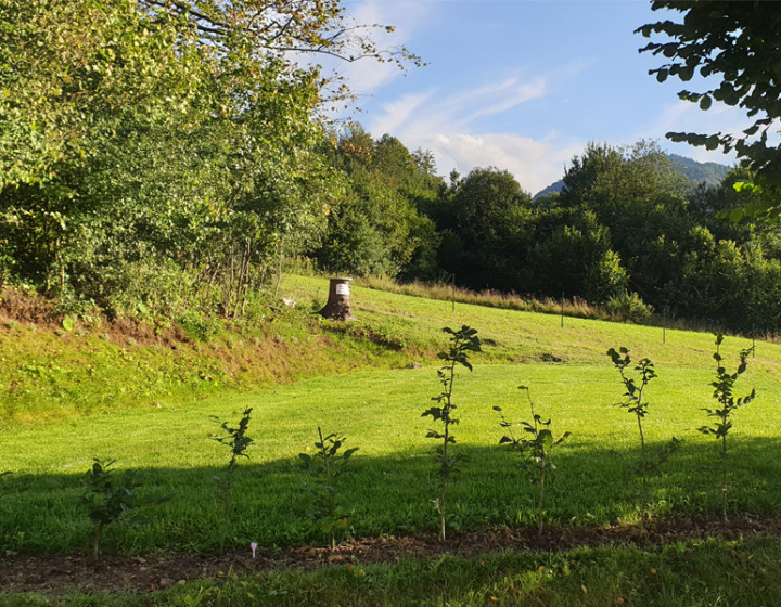 Pozemok na rekreačný objekt v obci Belá, okr. Žilina, 500m2
