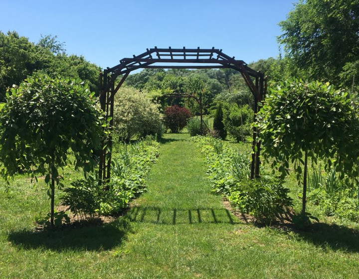 Pozemok 7 400 m² len 19 km od hranice Košíc!