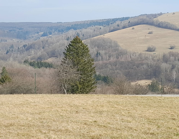 Pozemok s domom v srdci prírody  Žítková pri Trenčíne