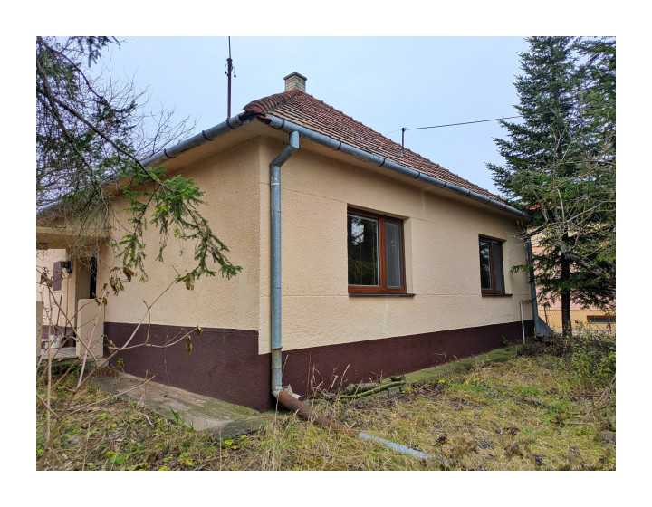 Predaj, rodinný dom - Dvorníky /Hlohovec (1243-12-AFI)