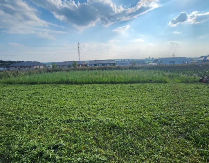 Predaj,  stavebný pozemok - Nitra Párovské Háje (012-14-MIMI)