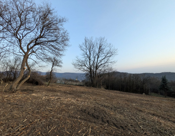 Predaj, rekreačný pozemok - Hronský Beňadik (1246-14-AFI)