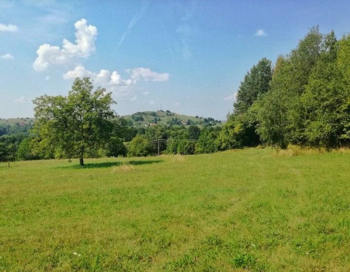 Predaj, rozľahlý slnečný pozemok- Nová Baňa (004-14-ZOLAa)