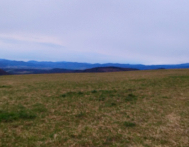 Predaj, rozľahlý slnečný pozemok-Nevoľné (007-14-ZOLAa)