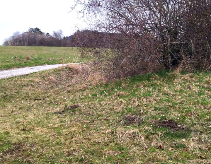 Predaj, slnečný pozemok, Jastrabá (009-14-ZOLA)