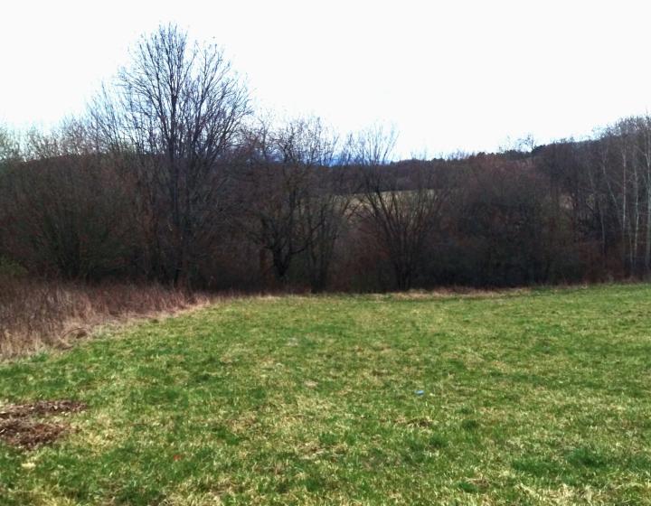 Predaj, rozľahlý pozemok- Jastrabá (011-14-ZOLAa)