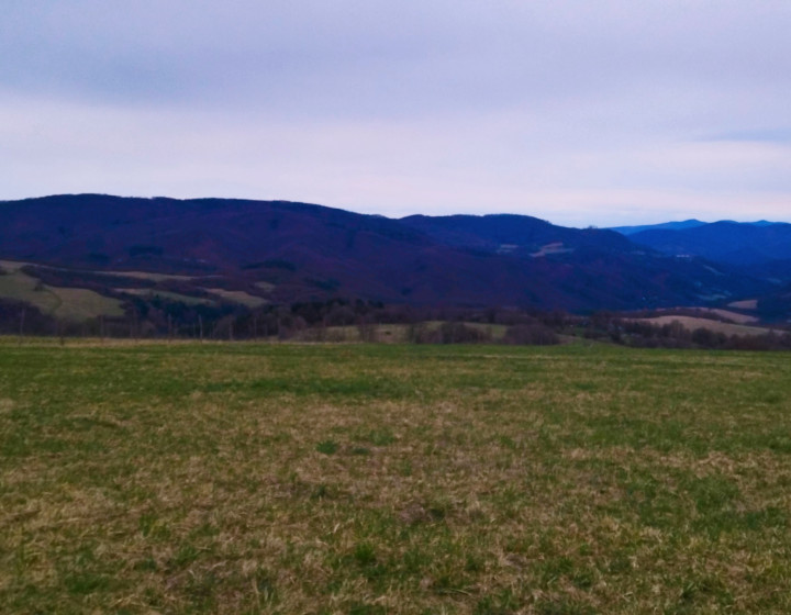 Predaj, slnečný pozemok - Jastrabá (012-14-ZOLA)