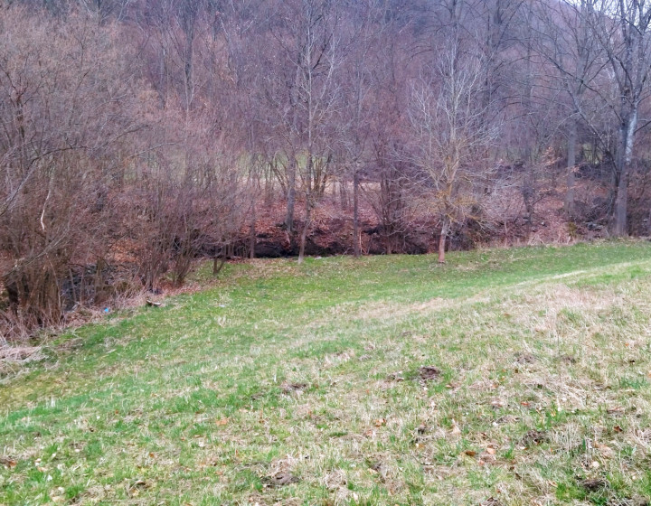 Predaj, pozemok lemovaný potôčikom- Píla (13-14-ZOLAa)