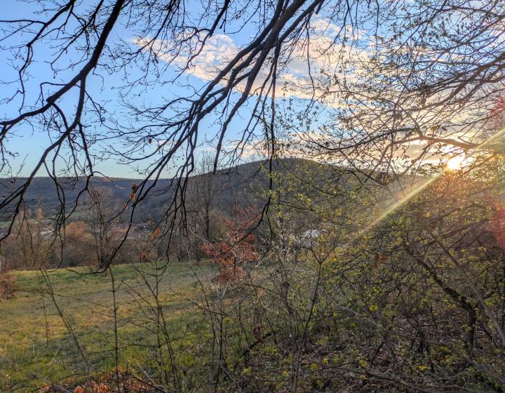 Predaj, pozemok - Jedľové Kostoľany (1249-14-AFI)