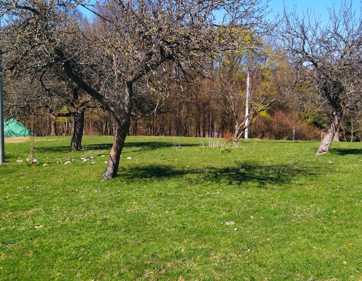 Predaj, unikátny stavebný pozemok - Nová Baňa (016-14-ZOLAa)