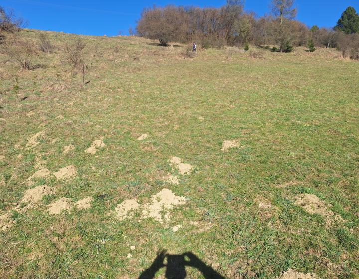 Stavebný pozemok v obci Chlebnice  1649m2 ID: 010-14-STSAa