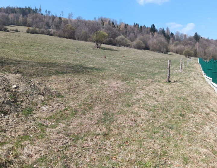 Predaj: Investičný pozemok,1951m2,Vadičov (256-14-MACH)