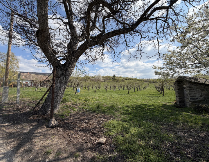 Pozemok vo výmere 4000 m2 v obci Fony- Maďarsko