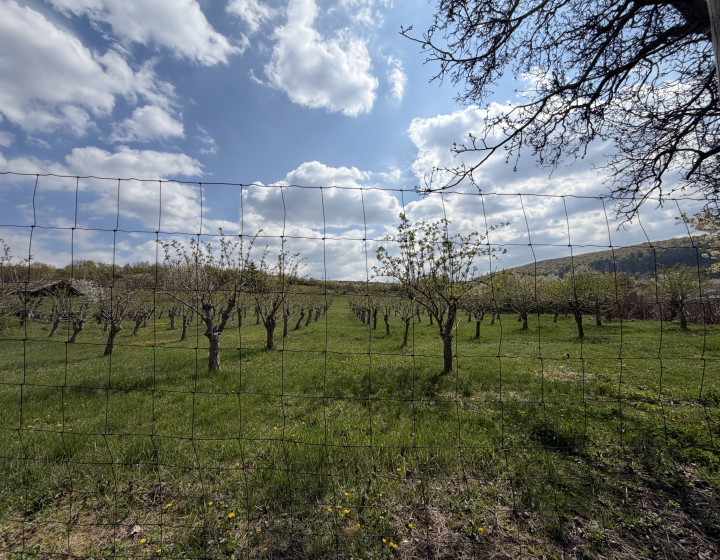 Stavebný pozemok v Maďarsku výmera 2000 m2 Fony