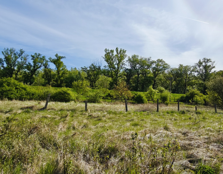 Stavebný pozemok - Vlčany okr.Šaľa 800M2 (027-14-JANS)