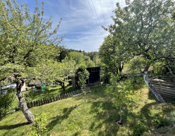 Predaj záhrady v sade 600 ročnice (031-13-ZUPIa)