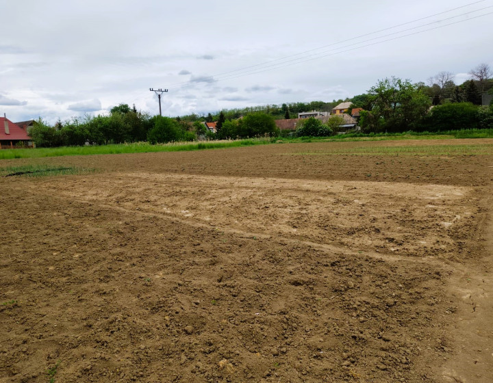 Predaj, pozemok - Bory (004-14-SIHA)