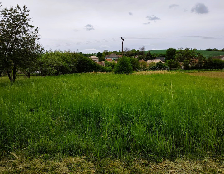 Predaj, pozemok - Bory (002-14-SIHU)