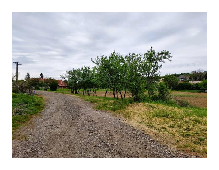 Predaj, pozemok - Bory  (003-14-SIHA)