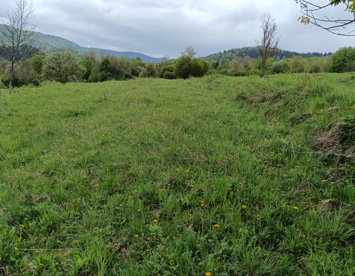 Predaj: Investičný pozemok, 1112m2, Terchová (260-14-MACH)