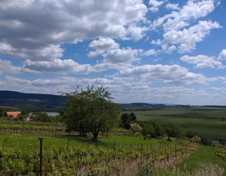 Exkluzívny rekreačný pozemok - Kozárovce (028-14-MIMI)