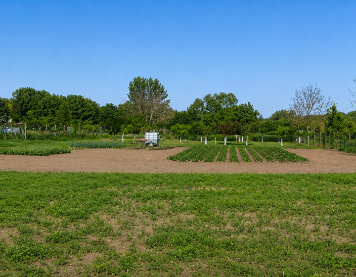 Predaj, Stavebný pozemok  v centre obce Bory–1 098 m² (045-14-SIHA)