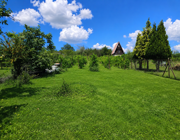 Predaj, pozemok Staré Levice (055-14-SIHA)
