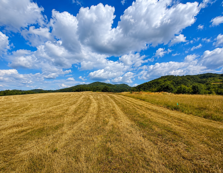 Predaj, stavebný pozemok - Horné Hámre (058-14-SIHA)