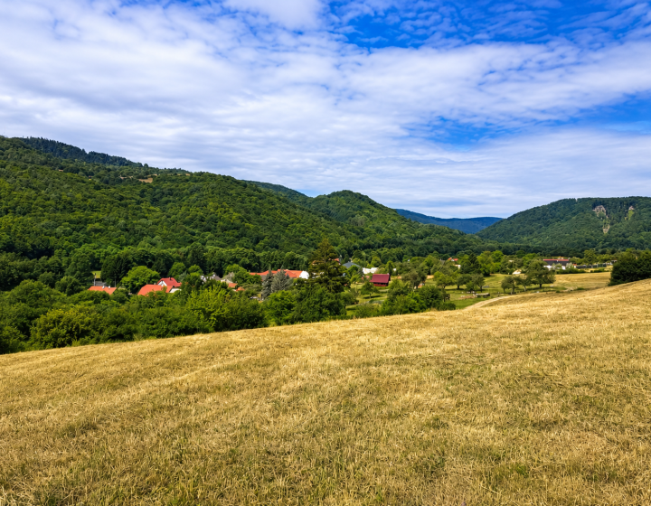 Predaj, stavebný pozemok - Horné Hámre (059-14-SIHA)