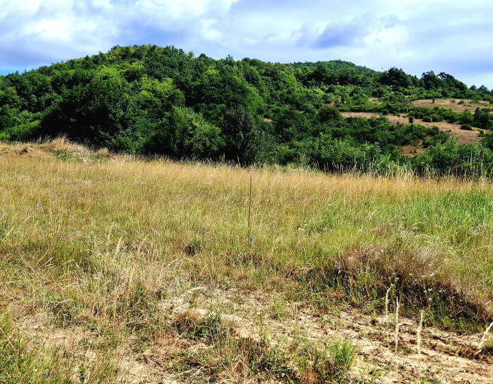 Predaj- stavebný pozemok, Horné Hámre ( 027-14-ZOLA)