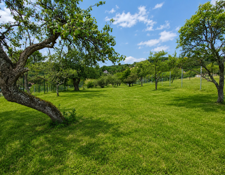 EXKLUZÍVNE, Stavebný pozemok 1 972 m² - Pukanec (062-12-SIHA)
