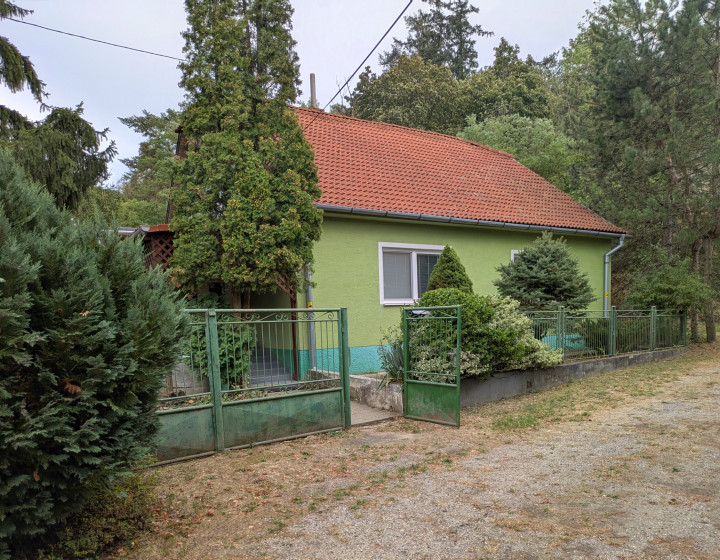 Predaj, rodinný dom s pekným pozemkom - Nemčiňany (1264-12-AFI)