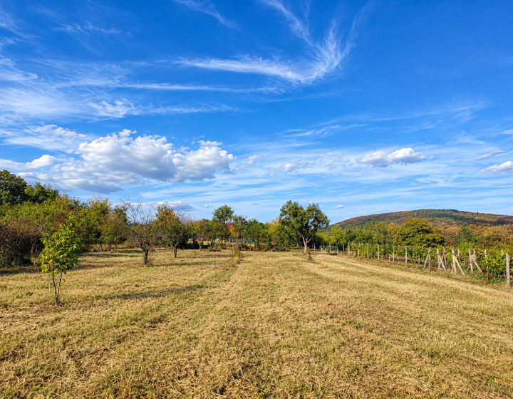 PREDAJ, POZEMOK V REKREAČNEJ OBLASTI RYBNÍK – 860 m² (066-14-SIHA)