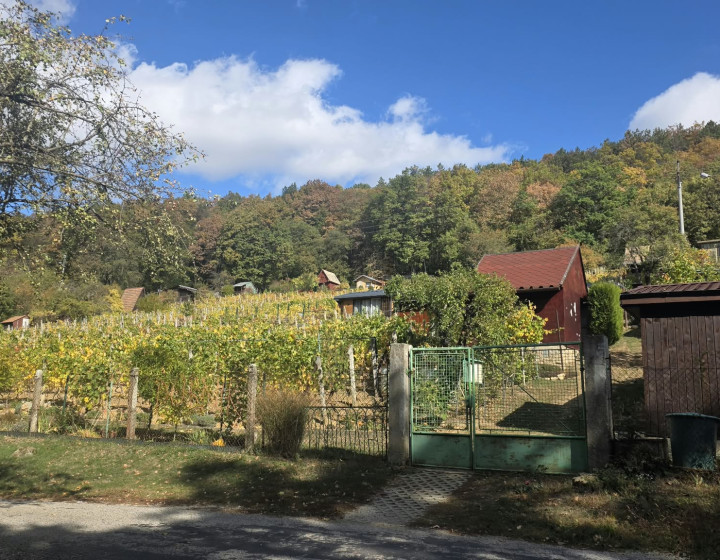 Vinica  s chatkou Stará Tura Dubnik